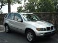 Titanium Silver Metallic - X5 3.0i Photo No. 2