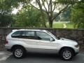 Titanium Silver Metallic - X5 3.0i Photo No. 11