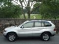 Titanium Silver Metallic - X5 3.0i Photo No. 12