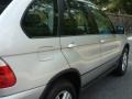 Titanium Silver Metallic - X5 3.0i Photo No. 15