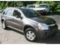 2007 Granite Gray Metallic Chevrolet Equinox LS AWD  photo #3