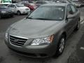 Natural Khaki Green - Sonata GLS Photo No. 14