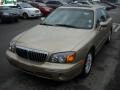 Desert Sand Beige - XG350 L Sedan Photo No. 14