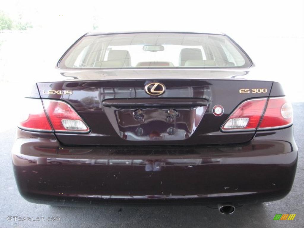 2003 ES 300 - Black Garnet Pearl / Ivory photo #4