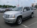 2010 Silver Lining Cadillac Escalade ESV Platinum AWD  photo #1