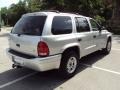 Bright Silver Metallic - Durango SLT Photo No. 9