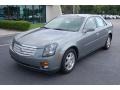 Silver Smoke - CTS Sedan Photo No. 13