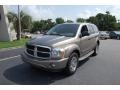 2005 Light Khaki Metallic Dodge Durango Limited  photo #13