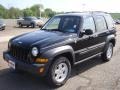 Black Clearcoat - Liberty Sport 4x4 Photo No. 4