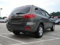Natural Khaki Green - Santa Fe GLS Photo No. 3
