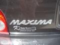 Gray Lustre Metallic - Maxima GLE Photo No. 28