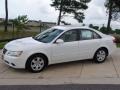 Powder White Pearl - Sonata GLS Photo No. 13