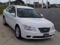 Powder White Pearl - Sonata GLS Photo No. 16