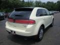 2007 Creme Brulee Metallic Lincoln MKX AWD  photo #4