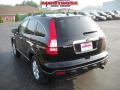Nighthawk Black Pearl - CR-V EX-L 4WD Photo No. 5