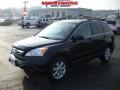 Nighthawk Black Pearl - CR-V EX-L 4WD Photo No. 18