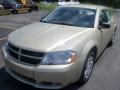 White Gold - Avenger SXT Photo No. 1
