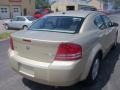 White Gold - Avenger SXT Photo No. 9