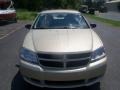 White Gold - Avenger SXT Photo No. 11