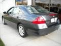 2007 Graphite Pearl Honda Accord SE Sedan  photo #6