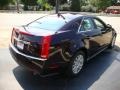 Black Cherry - CTS 3.0 Sedan Photo No. 4