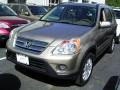 2006 Sahara Sand Metallic Honda CR-V SE 4WD  photo #1