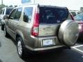 Sahara Sand Metallic - CR-V SE 4WD Photo No. 3