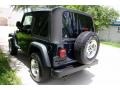 2003 Patriot Blue Jeep Wrangler X 4x4  photo #17