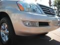 Savannah Beige Metallic - GX 470 Photo No. 9