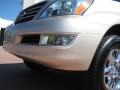 Savannah Beige Metallic - GX 470 Photo No. 10