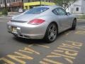 2009 Arctic Silver Metallic Porsche Cayman   photo #8