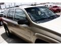 Sandstone Metallic - TrailBlazer LT 4x4 Photo No. 18