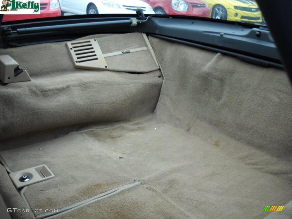 1996 Corvette Coupe - Bright Aqua Metallic / Light Beige photo #13