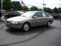 Ash Gold Metallic - S80 2.9 Photo No. 1