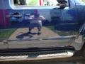 Majestic Blue Metallic - Pathfinder LE 4x4 Photo No. 17