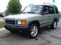 2002 Vienna Green Pearl Land Rover Discovery II SE7  photo #1