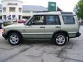 2002 Vienna Green Pearl Land Rover Discovery II SE7  photo #2