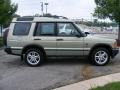 2002 Vienna Green Pearl Land Rover Discovery II SE7  photo #6