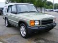 2002 Vienna Green Pearl Land Rover Discovery II SE7  photo #7
