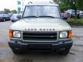 2002 Vienna Green Pearl Land Rover Discovery II SE7  photo #8