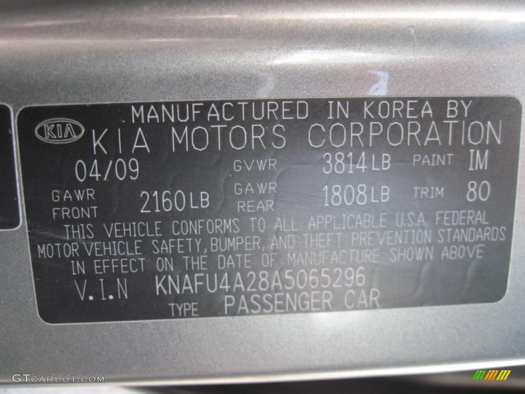 2010 Forte Color Code IM for Titanium Photo #33212531