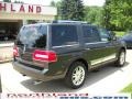 2007 Alloy Metallic Lincoln Navigator Ultimate 4x4  photo #2