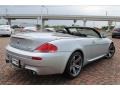 Silverstone Silver Metallic - M6 Convertible Photo No. 5