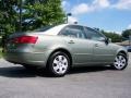 Natural Khaki Green - Sonata GLS Photo No. 6