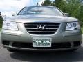 Natural Khaki Green - Sonata GLS Photo No. 2
