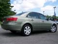 Natural Khaki Green - Sonata GLS Photo No. 6