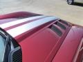 Venom Red Metallic - Viper SRT-10 Coupe Photo No. 30
