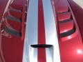 Venom Red Metallic - Viper SRT-10 Coupe Photo No. 31