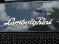 2004 Nero Serapis (Black Metallic) Lamborghini Gallardo Coupe  photo #9