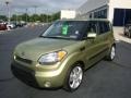 2010 Alien Green Kia Soul !  photo #7